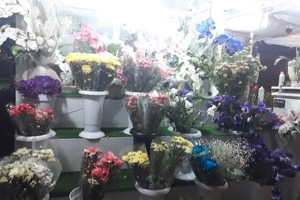 Gazipaşa Çocuk Parkı - Resim 15