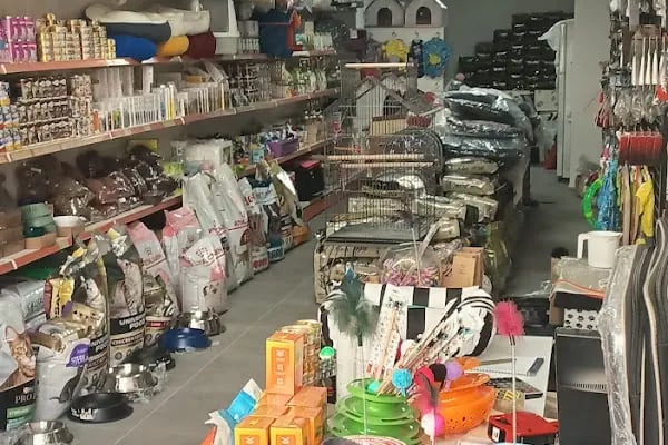 ÖZDEPET PETSHOP - Resim 3