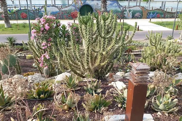 Expo Antalya ŞAkayik Terasi / Pioni Terrace - Resim 15