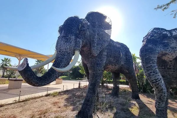 Expo Antalya ŞAkayik Terasi / Pioni Terrace - Resim 11