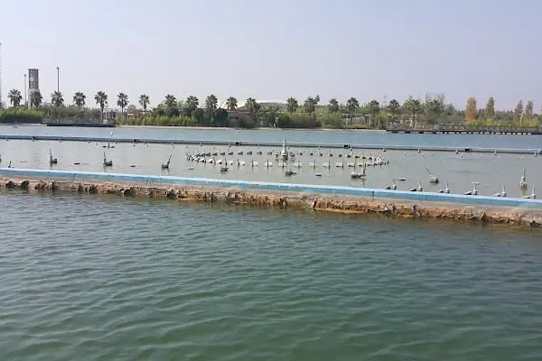 Expo Antalya ŞAkayik Terasi / Pioni Terrace - Resim 10