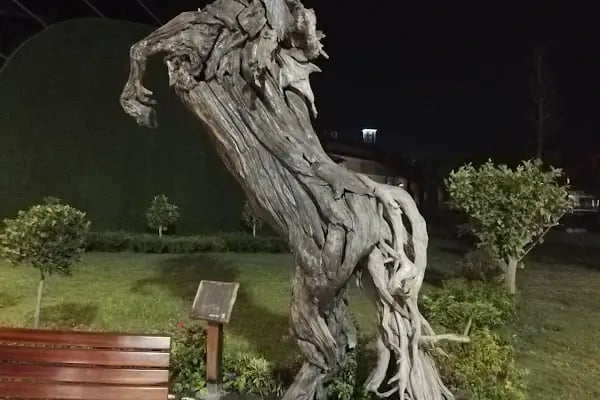 Expo Antalya ŞAkayik Terasi / Pioni Terrace - Resim 16