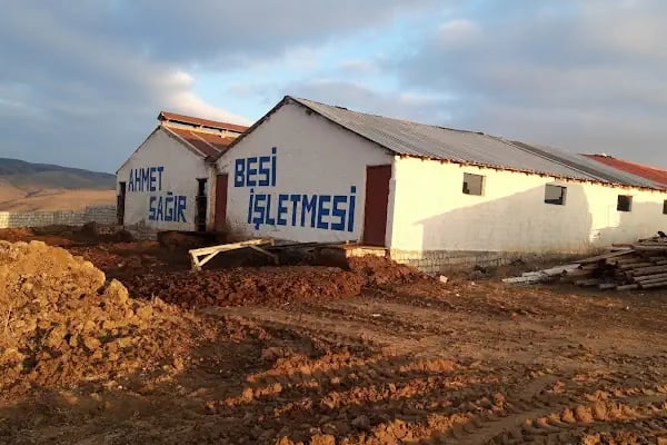 Ahmet sağır besi isletmesi - Resim 4