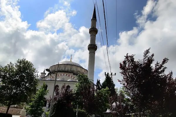 Yeşilbayır Köyü Cami - Resim 1