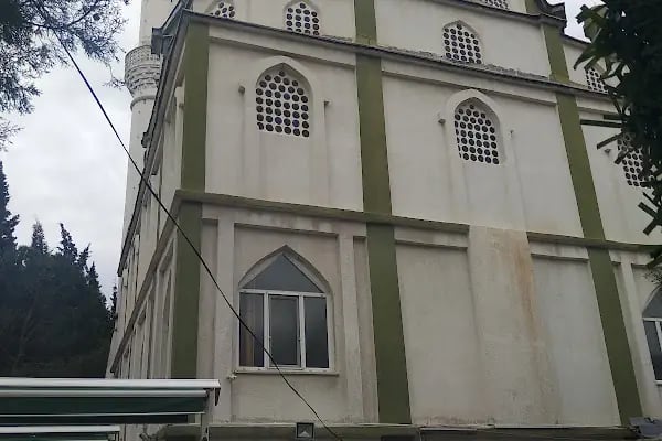 Yeni Camlık Selvili Camii - Resim 5