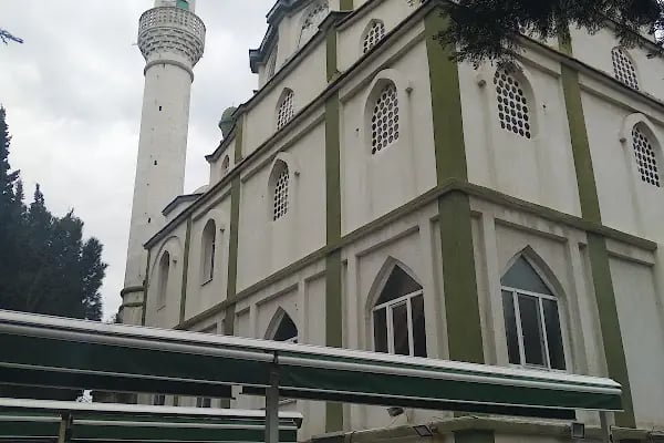 Yeni Camlık Selvili Camii - Resim 4