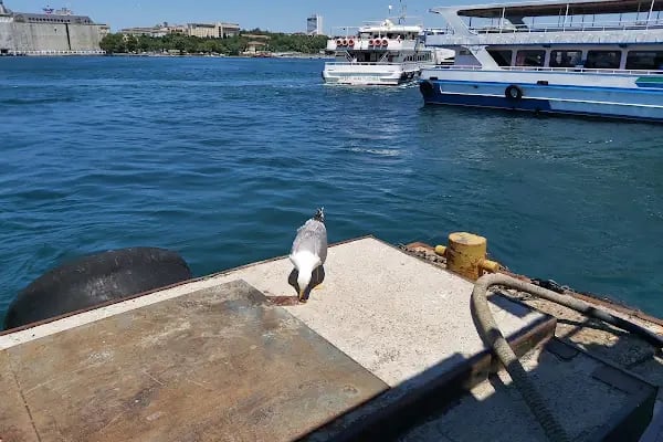 Kadıköy - Resim 20