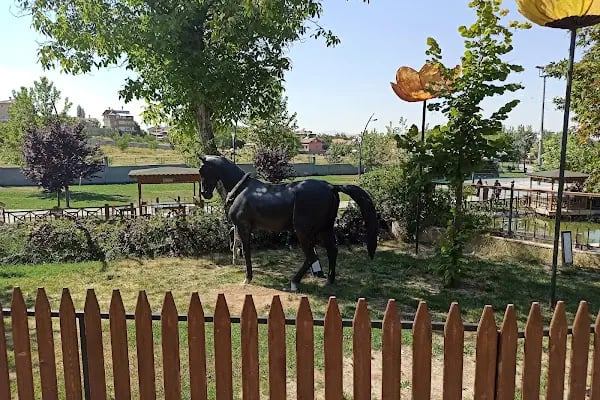 Çınar park - Resim 17