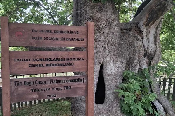 Çınar park - Resim 19