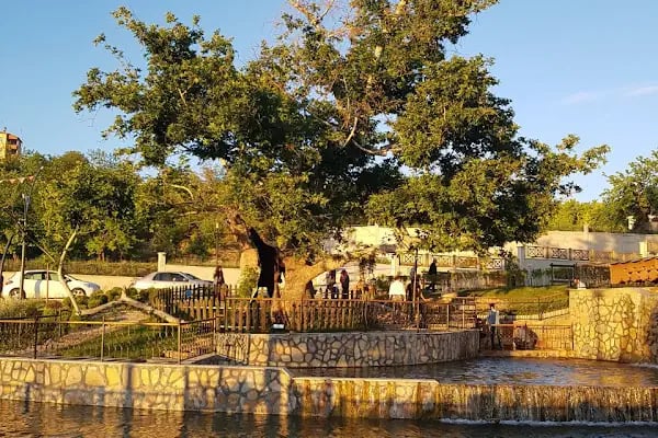 Çınar park - Resim 8