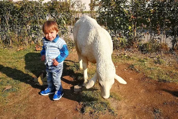 Çınar park - Resim 14