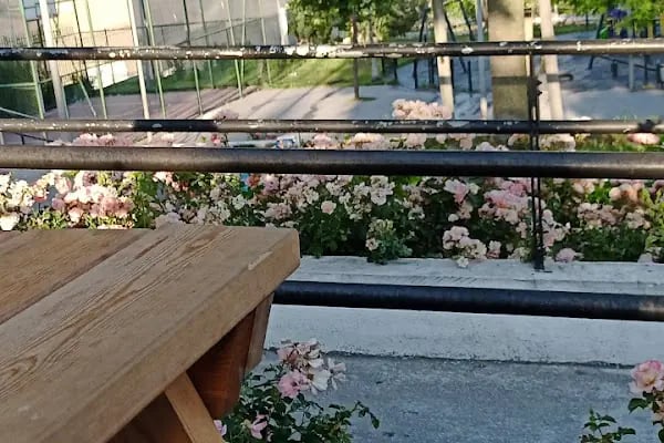 Aliya İzzet Begoviç Parkı - Resim 15