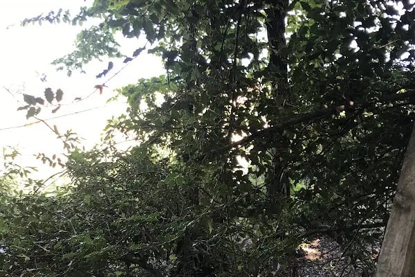 Havaalanı Paintball - Resim 3