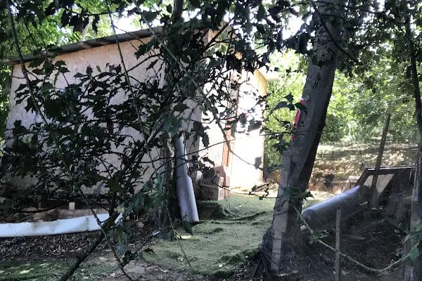Havaalanı Paintball - Resim 12