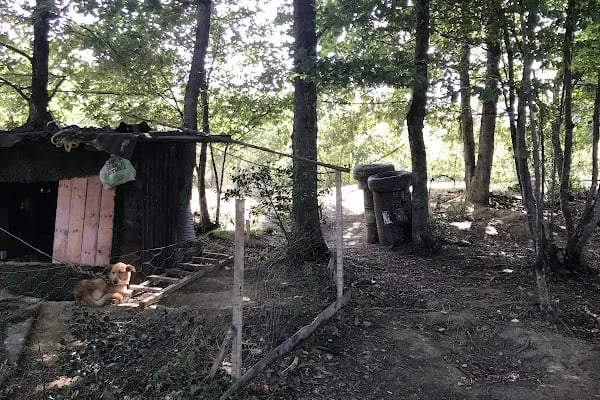 Havaalanı Paintball - Resim 4
