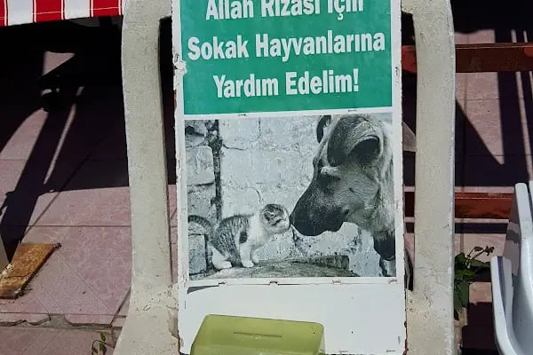 Şile Bezi Outlet - Resim 4