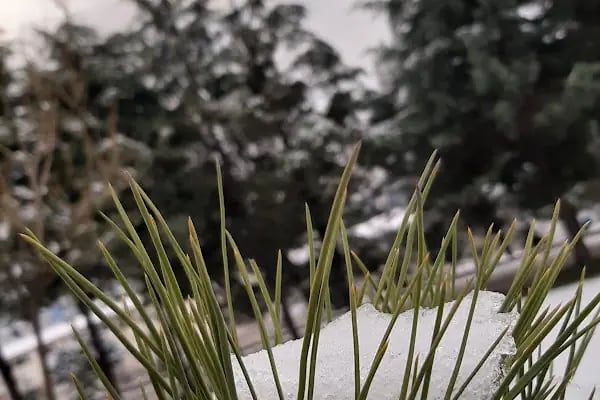 Naci Topçuoğlu Meslek Yüksekokulu - Resim 18