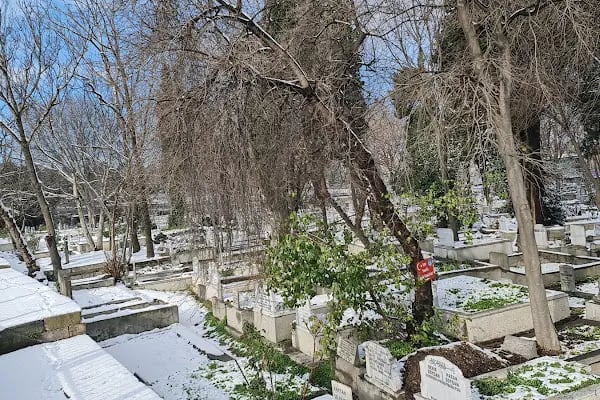Mısır Tarlası Mezarlığı - Resim 8