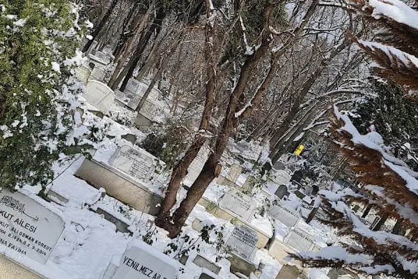 Mısır Tarlası Mezarlığı - Resim 11