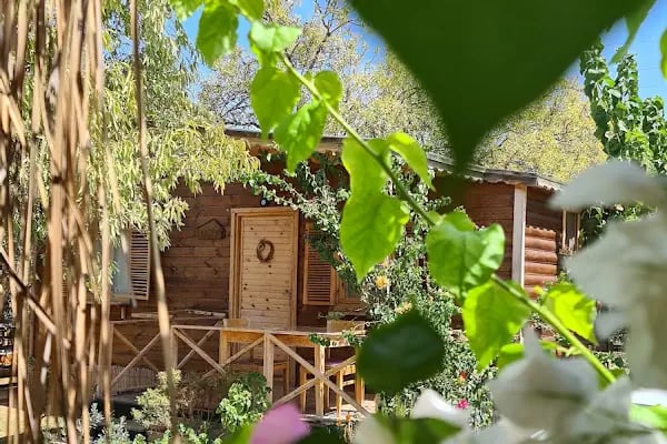 Derin Taş-Bungalow Datca - Resim 8
