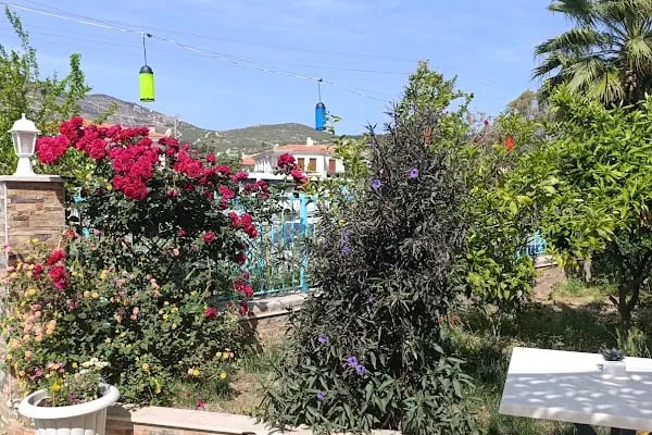 Foça Mint Pansiyon - Resim 19