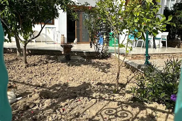 Foça Mint Pansiyon - Resim 4