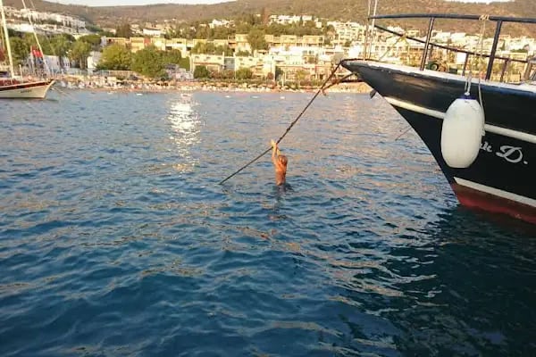 Bodrum Yolcu Limanı - Resim 14