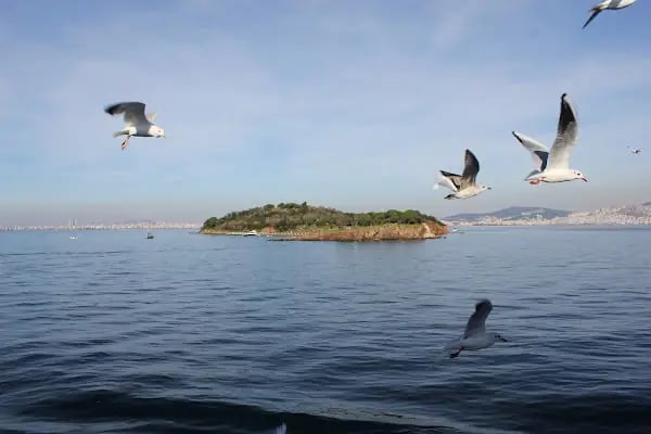 Hagios Georgios Koudounas Kilisesi - Resim 18