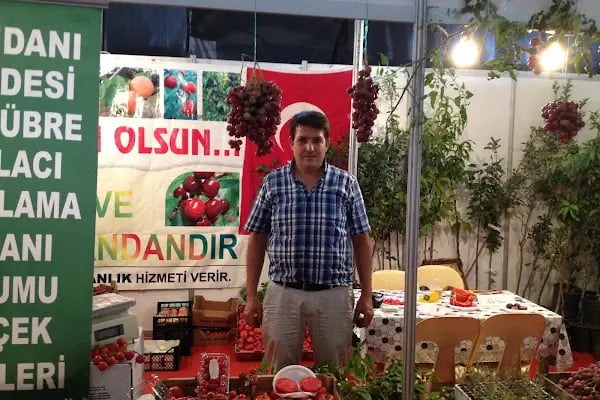 Aksel Bahçe - Resim 15
