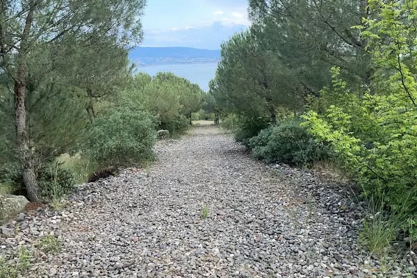 İkizcetepeler Baraji DSİ Piknik Alanı - Resim 18