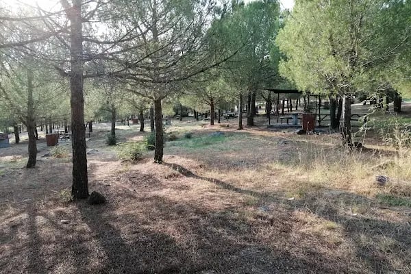 İkizcetepeler Baraji DSİ Piknik Alanı - Resim 2
