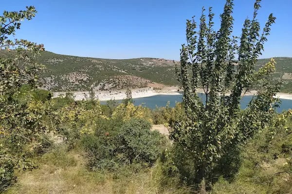 İkizcetepeler Baraji DSİ Piknik Alanı - Resim 16