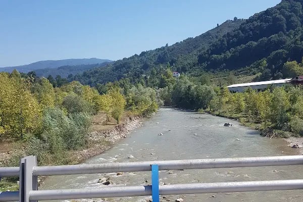 Yongalık kamping - Resim 6