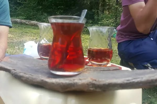 Yongalık kamping - Resim 4