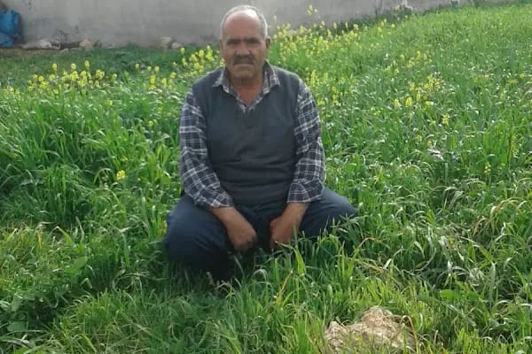 Belediye Parkı - Resim 18