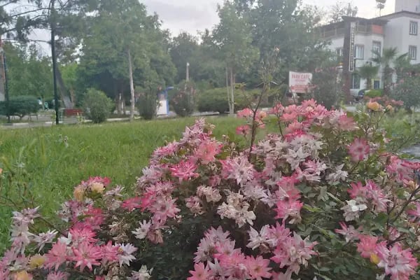 Belediye Parkı - Resim 17