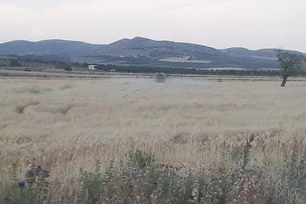 Belediye Parkı - Resim 12