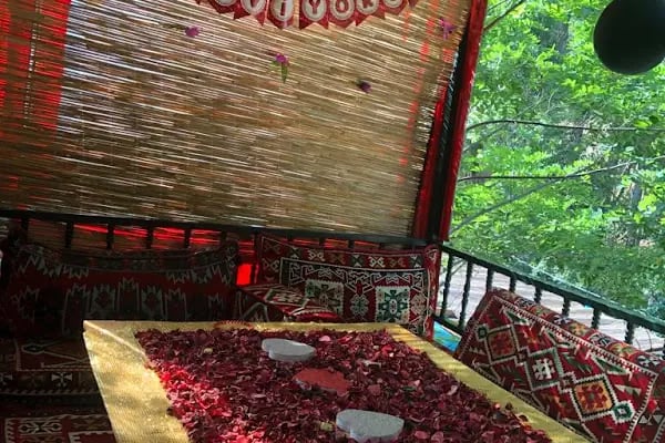 Şark Kır Bahçesi Kahvaltı Mangal - Resim 16