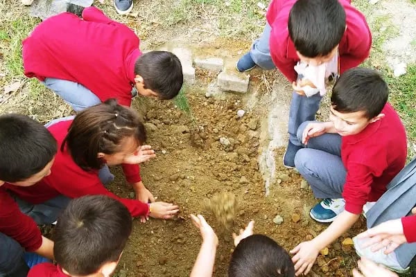 Karıncalı İlköğretim Okulu - Resim 16