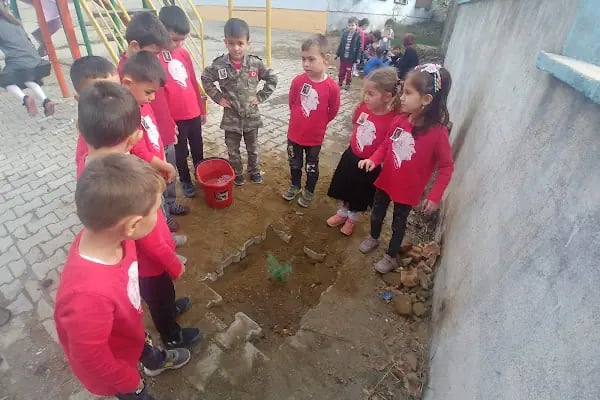 Karıncalı İlköğretim Okulu - Resim 4