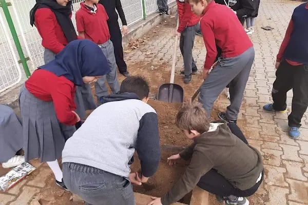 Karıncalı İlköğretim Okulu - Resim 20