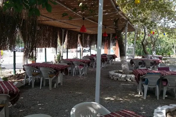 kaynaklar köyün delisi kahvaltı salonu - Resim 10
