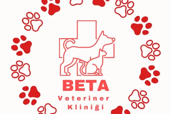Beta Veteriner Kliniği - Resim 3