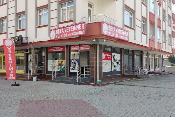 Beta Veteriner Kliniği - Resim 5