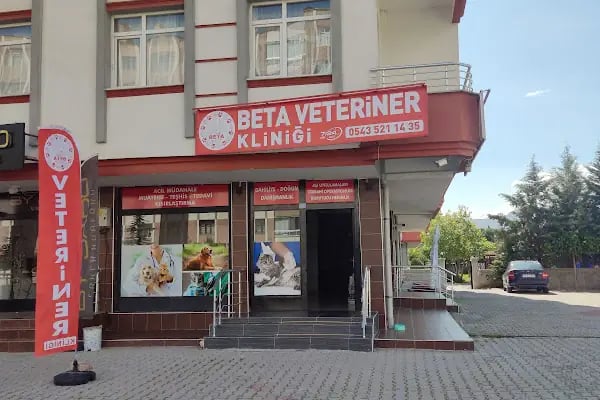 Beta Veteriner Kliniği - Resim 4