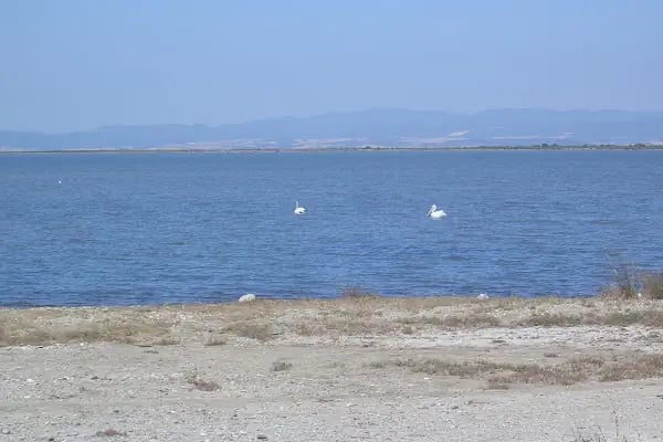 Enez Limanı Feneri - Resim 13