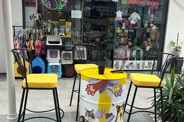 Miy Hav pet shop - Resim 16