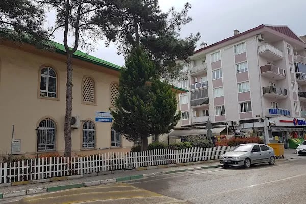 Gürsu Merkez Cami - Resim 11
