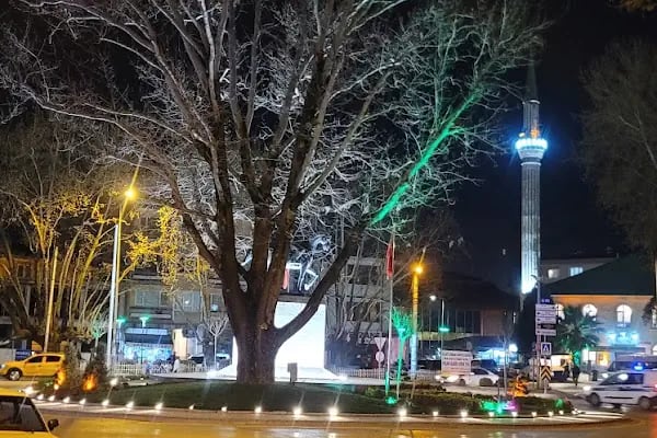 Gürsu Merkez Cami - Resim 4