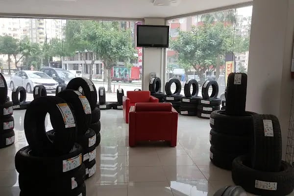 Assal Otomotiv - Continental _ Bridgestone -lassa-goodyear- Michelin -pirelli- hankook - mutlu akü -inci akü - Resim 8
